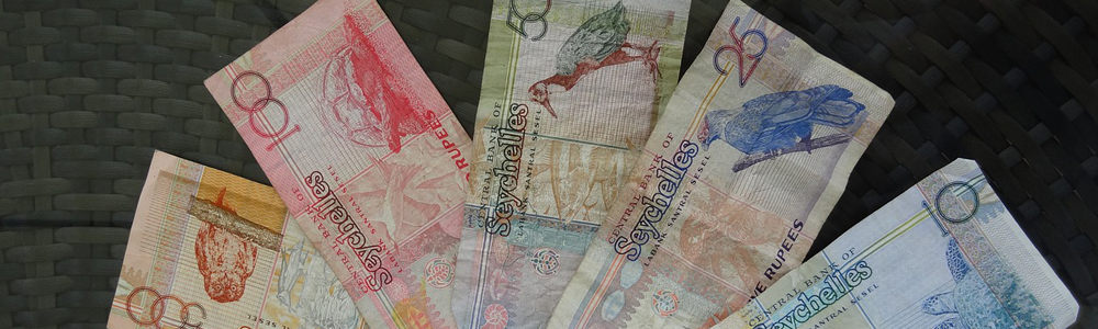 買取してもらおう